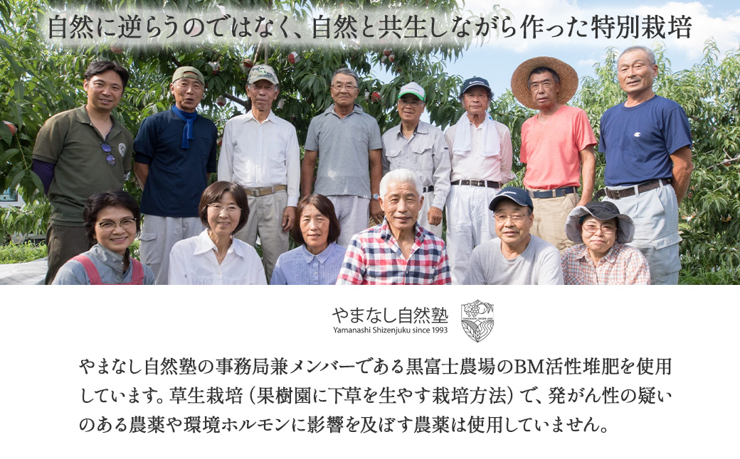 【来年（2026年/令和8年）発送＜先行予約＞】山梨県産　『特別栽培』自然塾夏のシャインマスカット（約1.2㎏）