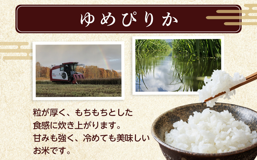 【2月発送】令和7年産　ゆめぴりか 無洗米 真空パック 5kg×2袋 10kg_05241