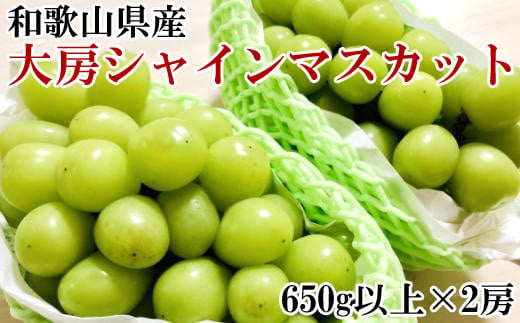 
【数量限定】和歌山県産大房シャインマスカット2房入り（1房650g×2房）　※2024年9月初旬から9月下旬頃順次発送
