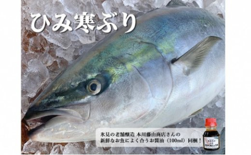【先行予約】【3枚おろし】ひみ寒ぶり1本【角安商店】〈配送地域限定〉