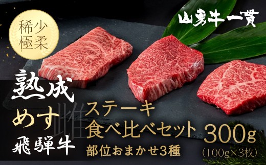 
                  ＜8月から寄附額改定＞飛騨牛 堪能ステーキセット 計300g 飛騨の牧場で育った熟成『山勇牛』部位おまかせ3種ステーキ食べ比べセット 牛肉 和牛
                