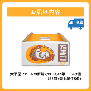 大平原ファームの新鮮でおいしい卵(赤卵) 40個【北海道 清水 赤卵 卵 40個 こだわり卵 卵かけご飯 玉子 タマゴ 卵焼き TKG 温泉卵 オムレツ ゆでたまご 栄養満点 国産】_S035-001