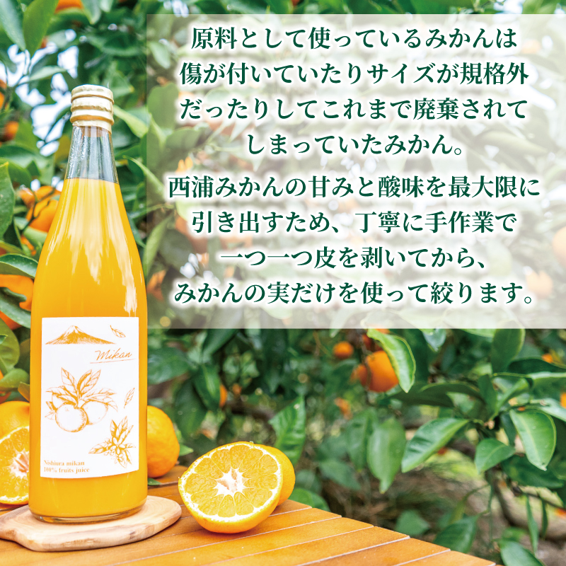 果汁100％ みかんジュース 720ml×12本 西浦