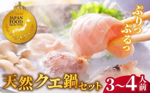【12/21までの寄附で年内発送】【長崎俵物】長崎県産 天然 クエ鍋 3～4人前 年内発送 年内配送 正月【よか魚】JFSグランプリ受賞 冷凍 贈答 ギフト 海鮮鍋 海鮮鍋セット クエ くえ 高級 A452