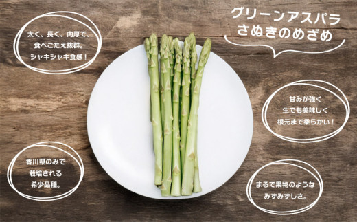 グリーンアスパラガス さぬきのめざめ 500g 朝採れ 鮮度バツグン 有機肥料 早朝収穫 人気 シャキシャキ 食感 新鮮 瑞々しい 甘い 歯ごたえ ロングサイズ  アスパラガス 農場 収穫 特別品質 