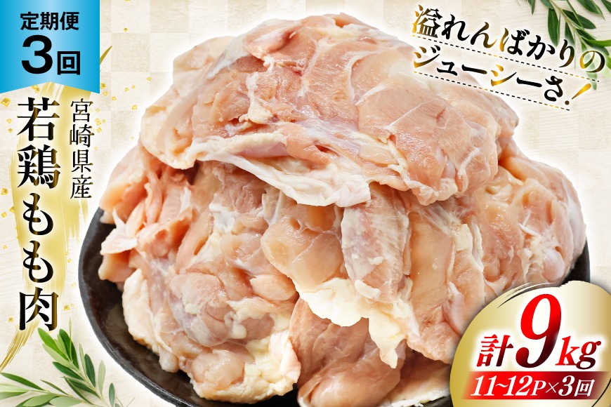 定期便 肉 鶏肉 3回定期便 若鶏もも身11〜12パック 計3kg [九州児湯フーズ 宮崎県 美郷町 31aj0059] 冷凍 小分け 個包装  鶏もも肉 もも肉 モモ肉