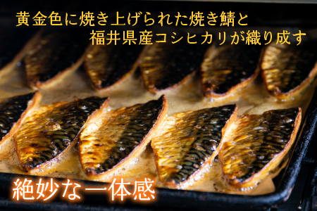 【着日指定可】焼き鯖すしセット　8貫入り×2本 / サバ さば寿司 鮨 福井 小浜 鯖 【配送不可地域：北海道、沖縄、離島】 小浜市 / 若廣  [BFAM009]