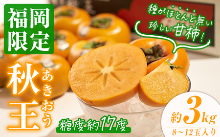 ＜先行予約受付中！2026年10月下旬～11月下旬に順次発送予定＞甘柿 秋王(約3kg箱・8-12玉)＜離島配送不可＞【ksg0123】【南国フルーツ】