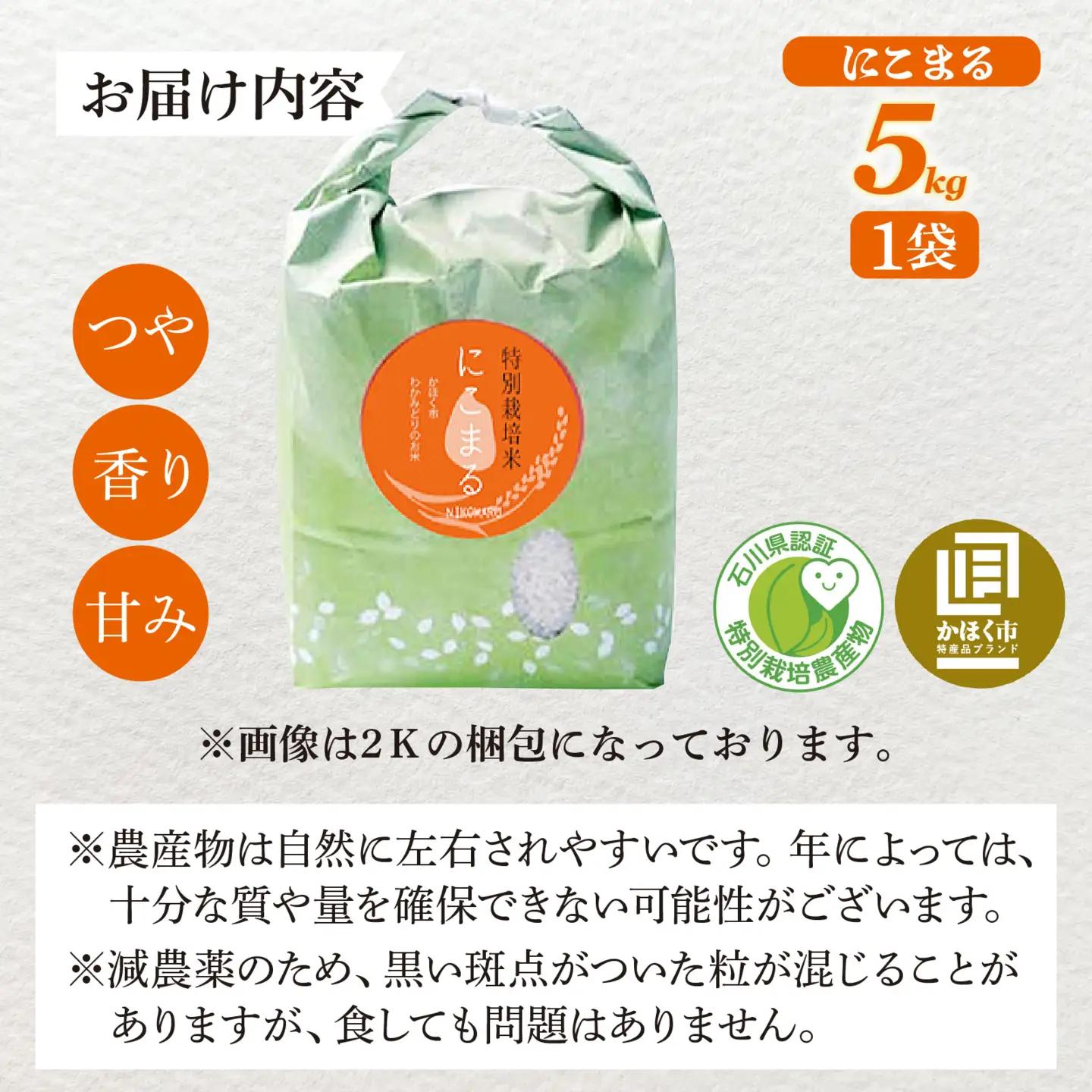【令和8年産】  にこまる 5kg 【2027年2月配送】 |  にこまる 白米