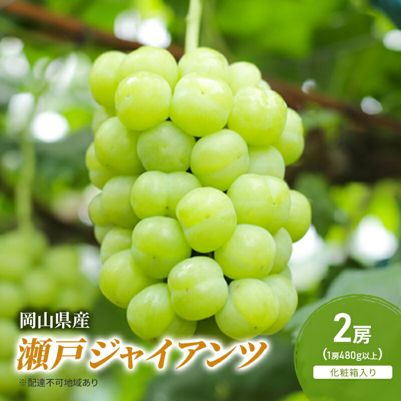 【ふるさと納税】ぶどう 2025年 先行予約 瀬戸ジャイアンツ 2房(1房480g以上) 化粧箱入り ブドウ 葡萄 岡山県産 国産 フルーツ 果物 ギフト　お届け：2025年9月上旬～2025年10月上旬