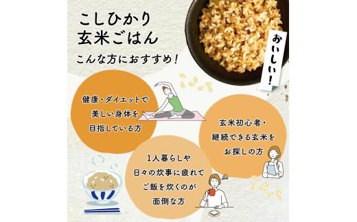 定期便 3回 こしひかり 玄米ごはんパック 160g 24個 玄米 米 ごはん ご飯 こめ パックライス パックご飯 パックごはん ご飯パック ごはんパック パック ライス 備蓄 保存 非常 防災 電