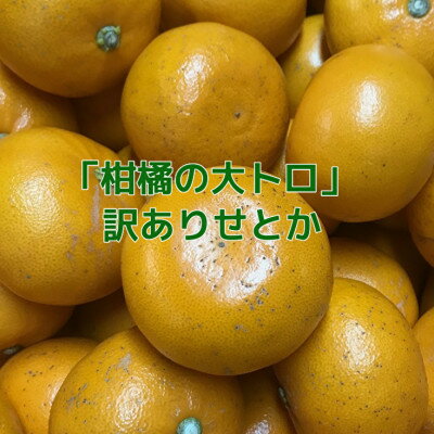 【ふるさと納税】【訳あり】せとか3kg【C21-56】【配送不可地域：離島】【1682791】
