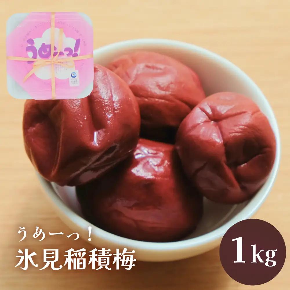 うめーっ！氷見稲積梅 梅干し 1kg | 梅干し 手作り 昔ながら 酸っぱい 無添加