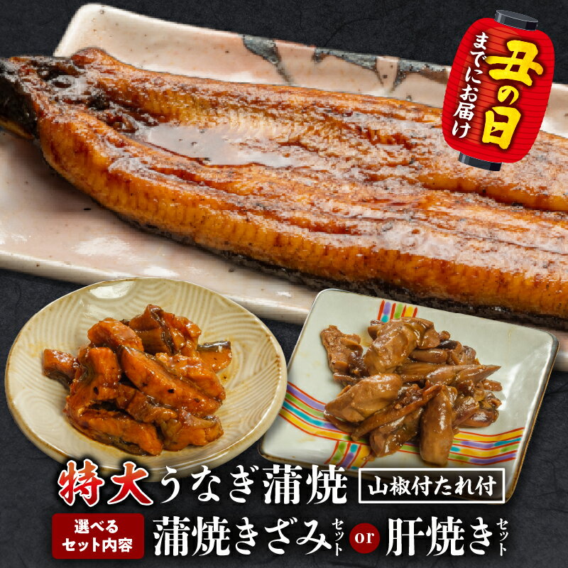 【ふるさと納税】【選べるセット内容・発送月】国産うなぎ蒲焼(特大サイズ)ときざみ・肝焼きセット うなぎ 鰻の蒲焼 蒲焼 うなぎ蒲焼き きざみ 肝焼き うなぎきざみ セット 詰め合わせ 選べる 惣菜 お惣菜 おかず 贈答 贈り物 ギフト お歳暮 お中元 プレゼント 人気 宮崎市