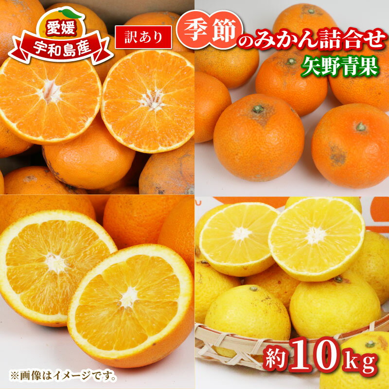 【ふるさと納税】 訳あり 季節 の みかん 詰合せ 10kg 矢野青果 フルーツ 詰め合わせ セット 柑橘 ミカン 蜜柑 mikan 果物 くだもの 愛媛みかん 愛媛蜜柑 濃厚みかん 産地直送 数量限定 国産 愛媛 宇和島 B010-171033