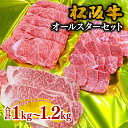 【ふるさと納税】松阪牛オールスターセット 松阪牛 松坂牛 牛肉 ブランド牛 高級 和牛 日本三大和牛 国産 霜降り すきやき すきやき肉 すき焼き用 すきやき用 焼き肉 焼肉 やきにく ステーキ ステーキ肉 ロース カルビ サーロイン 冷凍 詰合せ 詰め合わせ