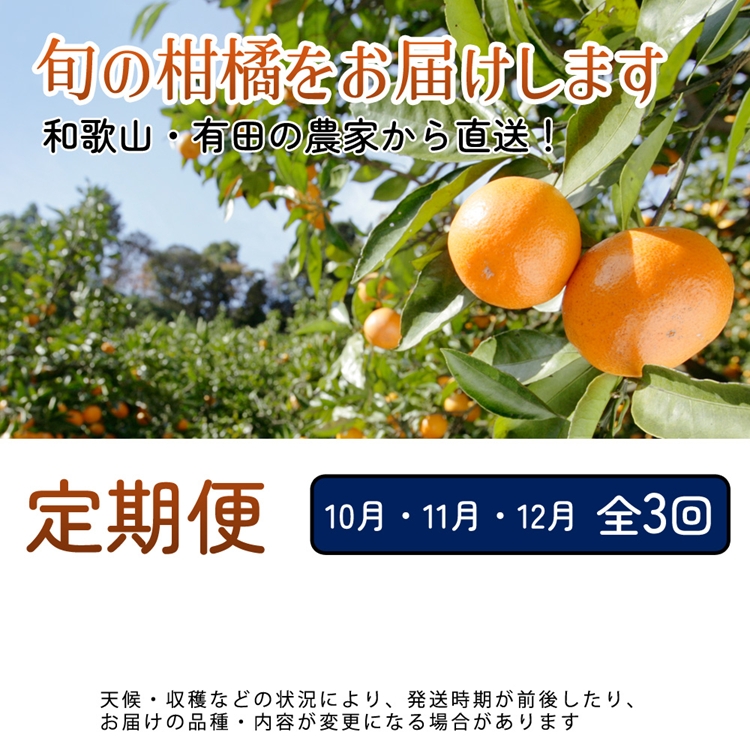 【定期便】家庭用 柑橘定期便 M 3回（10～12月）※北海道・沖縄・離島への配送不可※10月・11月・12月に発送