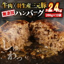 【ふるさと納税】 ハンバーグ 2.4kg 牛肉 豚肉 合挽き 冷凍 小分け 真空 個包装 大容量 大きめ 肉汁 たっぷり 保存料 不使用 無添加 淡路島 玉ねぎ ビーフ ポーク 牛 豚 肉 合いびき肉 挽肉 お弁当 おかず 惣菜 晩ごはん 贅沢 ギフト お中元 お歳暮 贈り物 贈答