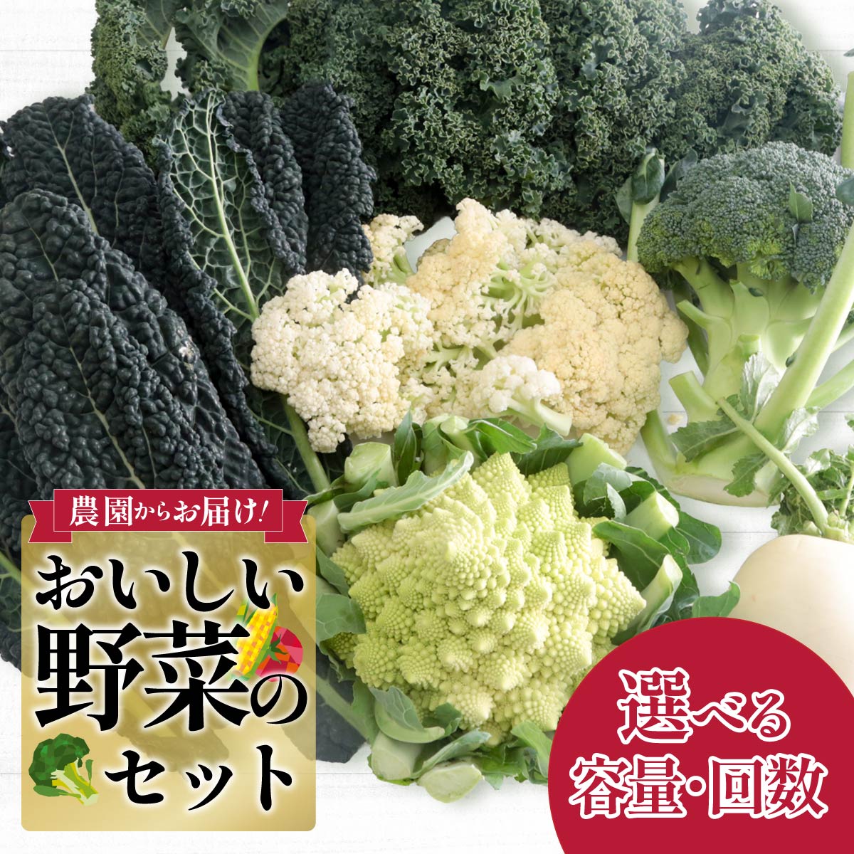 【ふるさと納税】野菜 西洋野菜 野菜セット 選べる内容 定期便｜ 2～4 5～6人前 減農薬 野菜ソムリエ 旬野菜 イタリア野菜 珍しい 食べ比べ 生野菜 サラダ 詰め合わせ ギフト レシピ 贈り物 国産 朝採れ 新鮮野菜 季節の野菜 産直 食品ギフト 手土産 良農園 群馬県 前橋市