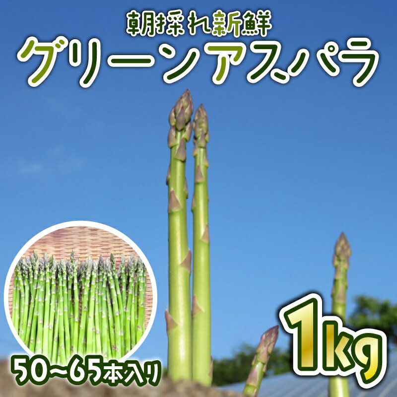 【ふるさと納税】先行予約 グリーンアスパラ 1kg (50~65本入り) 朝採れ 新鮮 令和7年産 アスパラ アスパラガス 甘い 柔らかい 肉 巻き ベーコン 巻き 特産品 野菜 春野菜 星野農園 新潟 新潟県 新発田産 新発田市 hoshino001