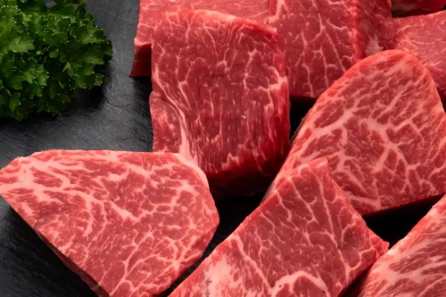 訳あり 肉 博多和牛 ヒレサイコロステーキ 600g 肉
