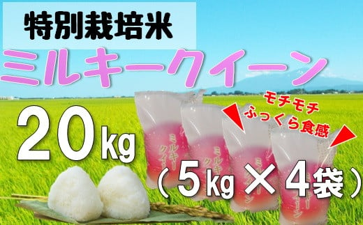 【令和6年産・精米】米蔵いいの特別栽培米ミルキークイーン20kg（5kg×4袋） ※10月上旬ごろから順次発送開始