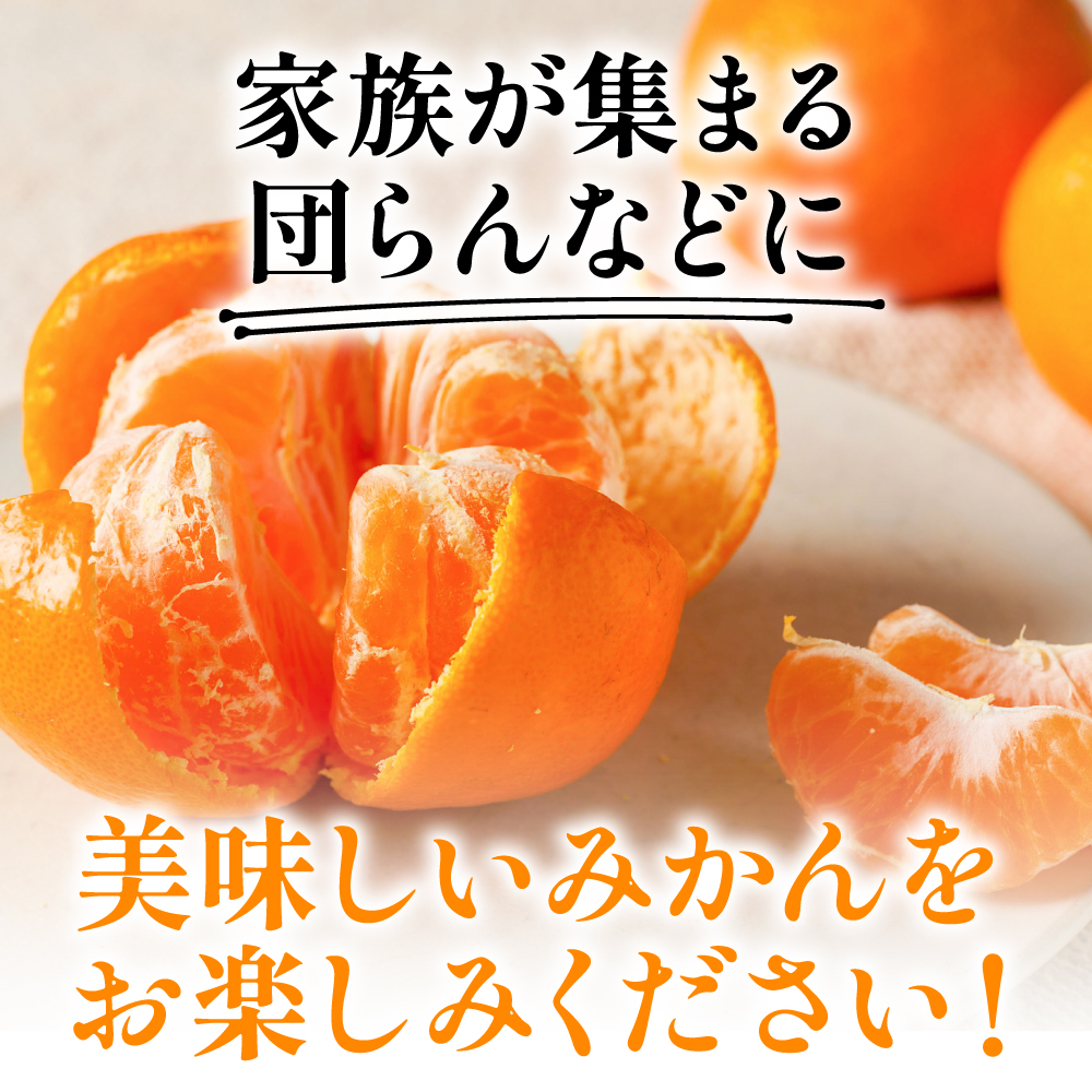 【先行予約】 八代市東陽産山本さん家の「熊本EC11みかん」 約5kg みかん 柑橘 フルーツ 果物 果実 ミカン 蜜柑 熊本県 八代市 【2026年11月上旬より順次発送】_イメージ5