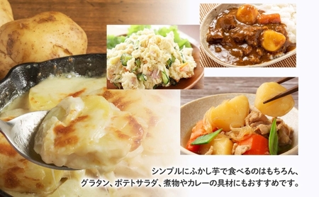 のざわ農園 じゃがいも詰め合わせセット 3kg メークイン ダンシャク トウヤ トカチゴカネ キタアカリ アンデスレッド インカのめざめ インカのひとみ いも 芋 じゃがいも 野菜 送料無料 北海道 