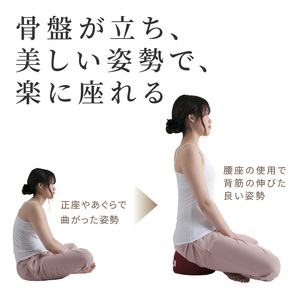 自動車シートメーカーが追求した最幸の座り心地　正座・あぐら用クッション「腰座」(色・サイズ選択)[023M05]