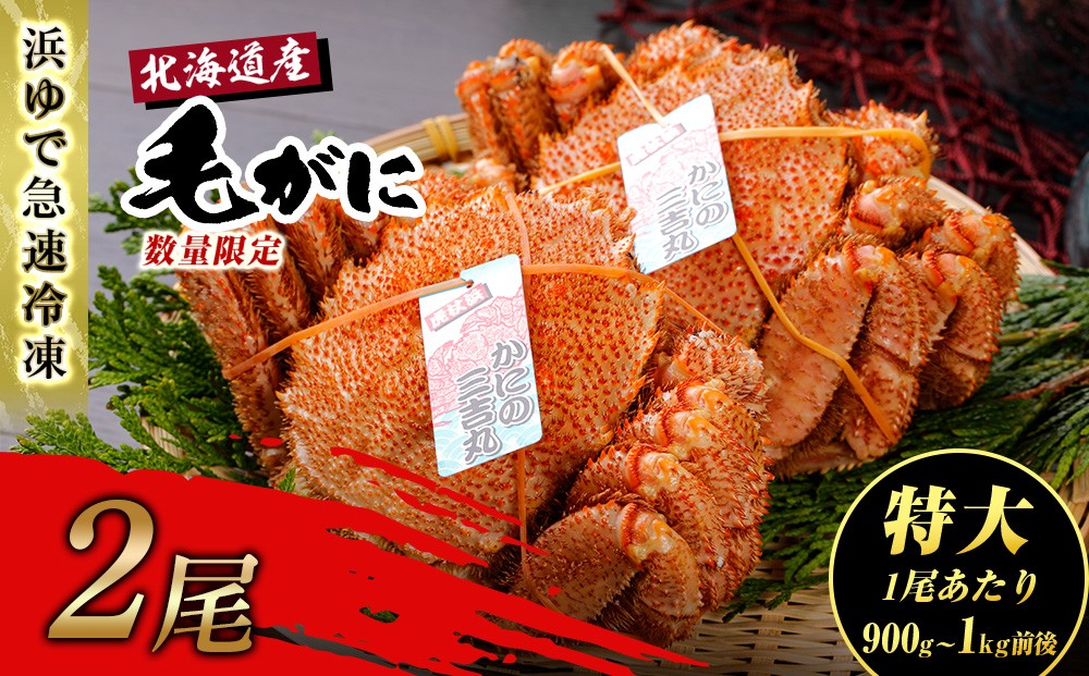 
                  【特大】北海道産 冷凍ボイル毛ガニ (900g-1kg前後) 2尾 蟹 かに カニ 毛ガニ 
                