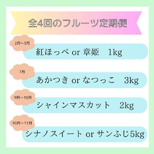 【全4回】南信州産　旬のフルーツ定期便