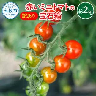 【訳あり】【先行予約】訳あり 赤いミニトマトの宝石箱 約2キロ 約2kg〈2026年11月下旬〜2027年5月下旬まで〉高知県 土佐市【ファーム輝】 [BQBM010]