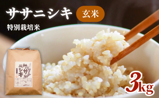 特別栽培米 ササニシキ 玄米 3kg