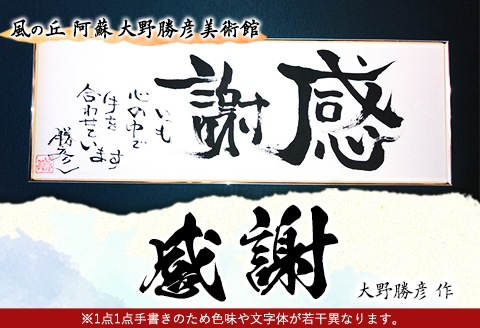 大野勝彦 短冊額『感謝』文字 風の丘阿蘇大野勝彦美術館《60日以内に出荷予定(土日祝除く)》美術館 詩