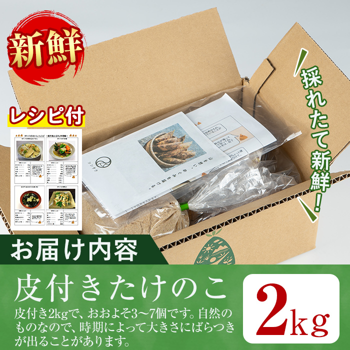 i230 ≪数量限定！先行予約受付中！2026年3月下旬～4月中旬の間に発送≫鹿児島県出水市産！たけのこ＜皮付き2kg＞ たけのこ 筍 タケノコ 国産 皮付き 野菜 旬 新鮮 採りたて 煮物 味噌汁 