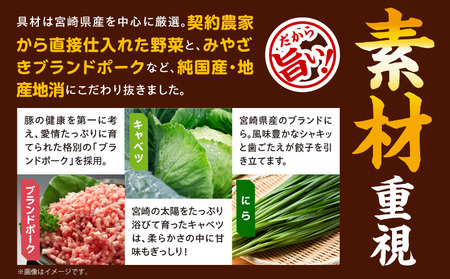 【簡易包装】屋台骨 宮崎餃子(60個×2袋) 餃子 ギョウザ ぎょうざ 宮崎県産 ブランドポーク 生餃子 屋台骨 簡易包装 レシピ同封 手仕込み