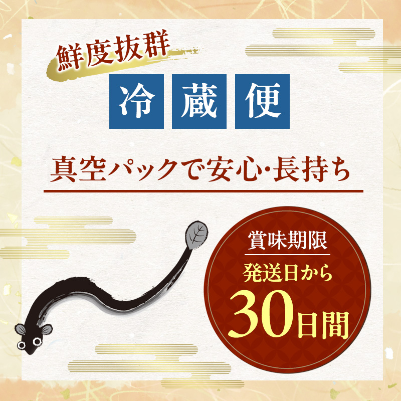 うなぎ 浜名湖 真空長蒲焼 詰め合わせ 4尾 約150g×4 国産 【配送不可：離島】