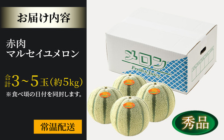 【先行予約】佐藤農園のマルセイユメロン 約5kg 秀品（3～5玉入）深みのある甘さ とろける濃厚な赤肉！農家直送 有機肥料 低農薬 ※2025年6月発送上旬より順次発送予定