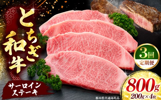 《定期便3回》【とちぎ和牛】牛肉 サーロインステーキ 200g×4P  《栃木県共通返礼品》