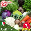 【ふるさと納税】イタリア野菜セットショート 7品 【有機野菜 おまかせ野菜セット イタリア野菜 西洋野菜】(H078145)