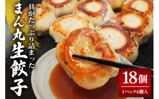 まん丸生餃子冷凍30g×18個入り（1pac 6個入り）餃子 生餃子 国産豚肉 焼餃子 ぎょうざ ギョウザ ギョーザ 冷凍餃子 小分け お取り寄せ 惣菜 中華惣菜 点心 中華 惣菜 中華料理 飲茶 おかず おつまみ ho1437