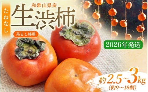 ＼甘さが違う！とっても甘くなる／吊るし柿用 たね無渋柿 T軸又はクリップ付紐付 約2.5～3kg (約9～18個)【2026年10月中旬～11月上旬ごろ順次発送】【G-art040A】