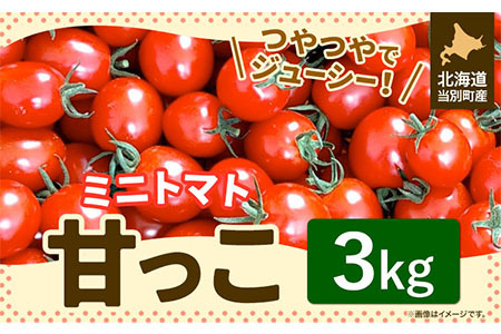 [1.6-219]　北海道当別町産化学農薬不使用ミニトマト：甘っこ3kg