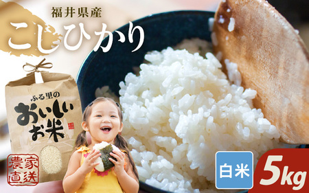 【先行予約】【令和8年産・新米】【白米 5kg】 コシヒカリ 5kg 【2026年10月上旬以降順次発送】精米 お米 [A-8934_01]