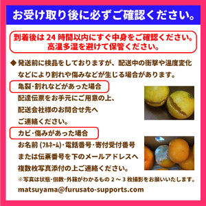 【先行予約】紅まどんな JAえひめ中央 正規化粧箱入 選べる 等級 無地 JA 紅まどんな 紅マドンナ まどんな マドンナ みかん ミカン 蜜柑 果物 くだもの フルーツ 柑橘 柑橘類 かんきつ 愛媛