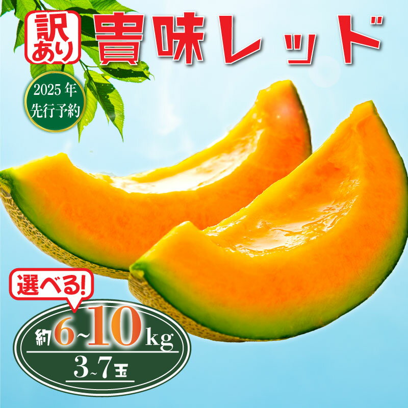 【ふるさと納税】 訳あり 2025年 先行予約 貴味 レッド メロン 赤肉 選べる 約6kg / 約10kg めろん melon 甘いメロン 貴味メロン デザート 美味しい おいしい 糖度 甘い あまい おすすめ 高級 旬 果物 くだもの フルーツ 贈り物 ギフト プレゼント 千葉県 旭市 たかの果樹園