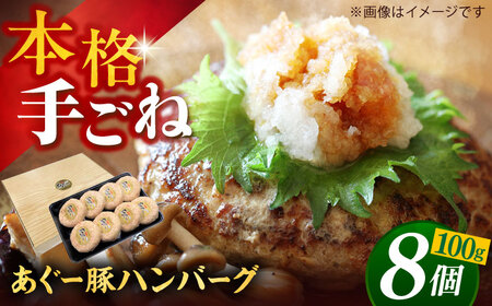 ハンバーグ 沖縄県産 あぐー豚 ハンバーグセット 800g (100g×8個)  BCAZ001 肉▼ 加工品 ハンバーグ 冷凍配送 年末年始 年末 年越し お正月 