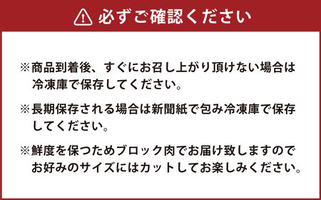 ＜ R8年熊本地震復興支援 ＞桜牧場 馬刺し 4種 食べ比べセット 合計600g 上赤身・フタエゴ・馬ヒレ・馬ヒモ 醤油付