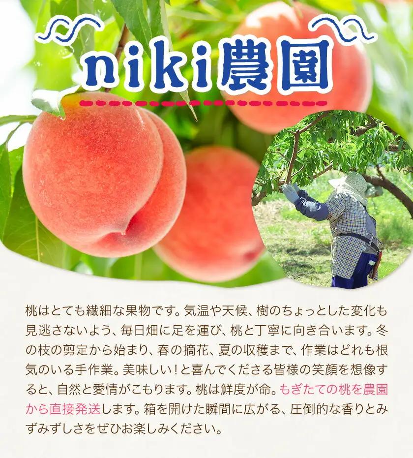 桃 niki農園 直送 あらかわの桃 約2kg 5-8玉 And《2026年6月下旬-8月上旬頃出荷》和歌山県 紀の川市 フルーツ 果物 あら川の桃 【玉数指定不可】