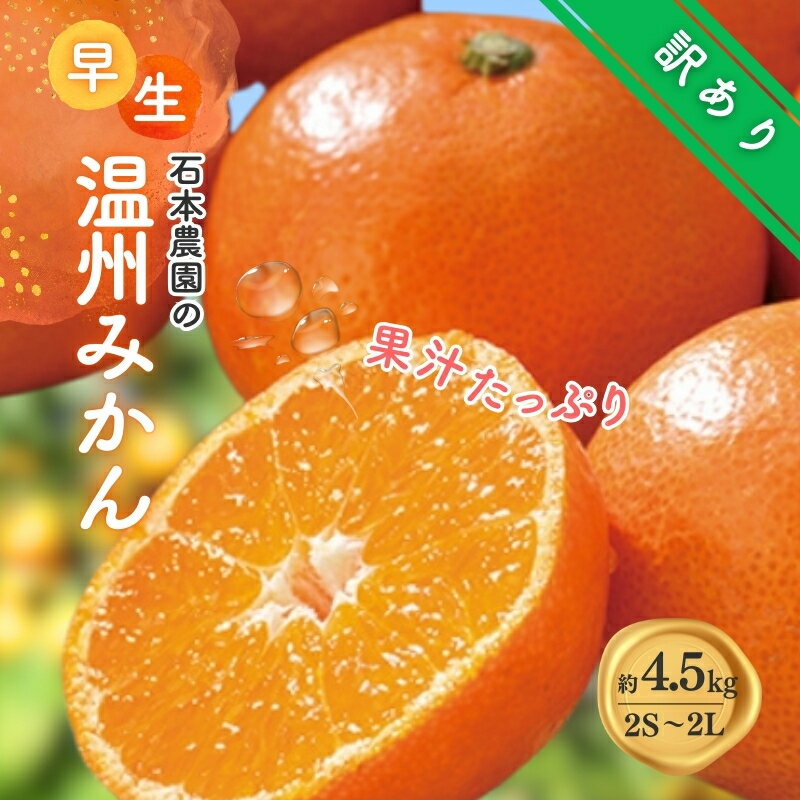 【ふるさと納税】 訳あり 2S-2Lサイズおまかせ 石本農園の早生温州みかん 約4.5kg【11月下旬から12月末頃までに順次発送】 / みかん ミカン 蜜柑 温州